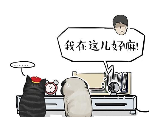 第125话 一只优秀的汪9