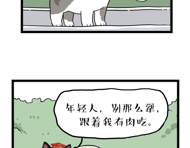 第267话 不让你流浪72