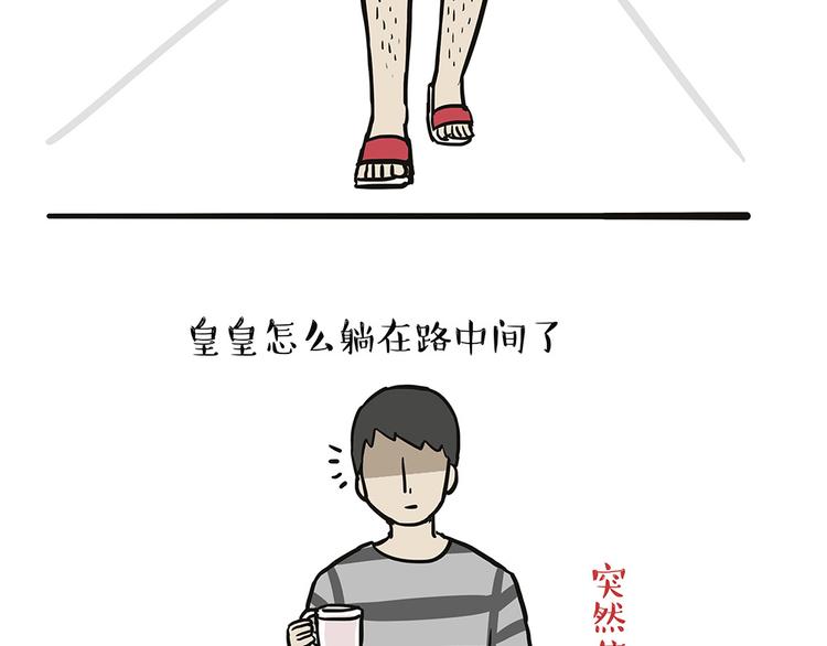 第44话 日常坑狗，却猫前屈膝21