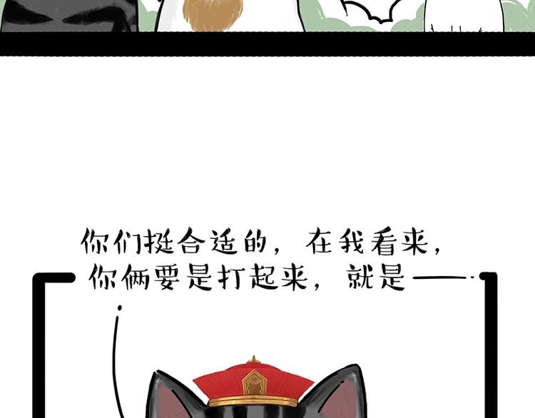 第167话 猫王争霸赛15
