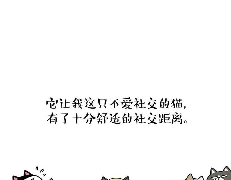 第359话 猫洛芬7