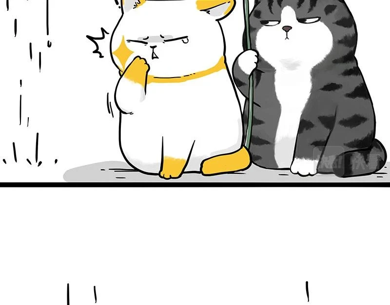 第364话 万一呢？36