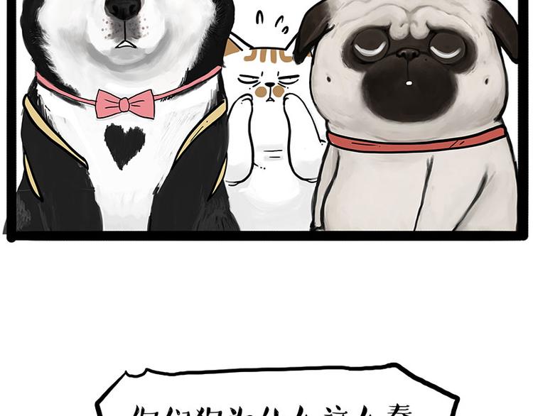 第223话 狗知识增加了29