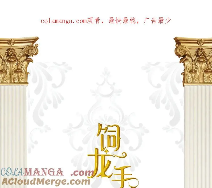 118 大局为重0