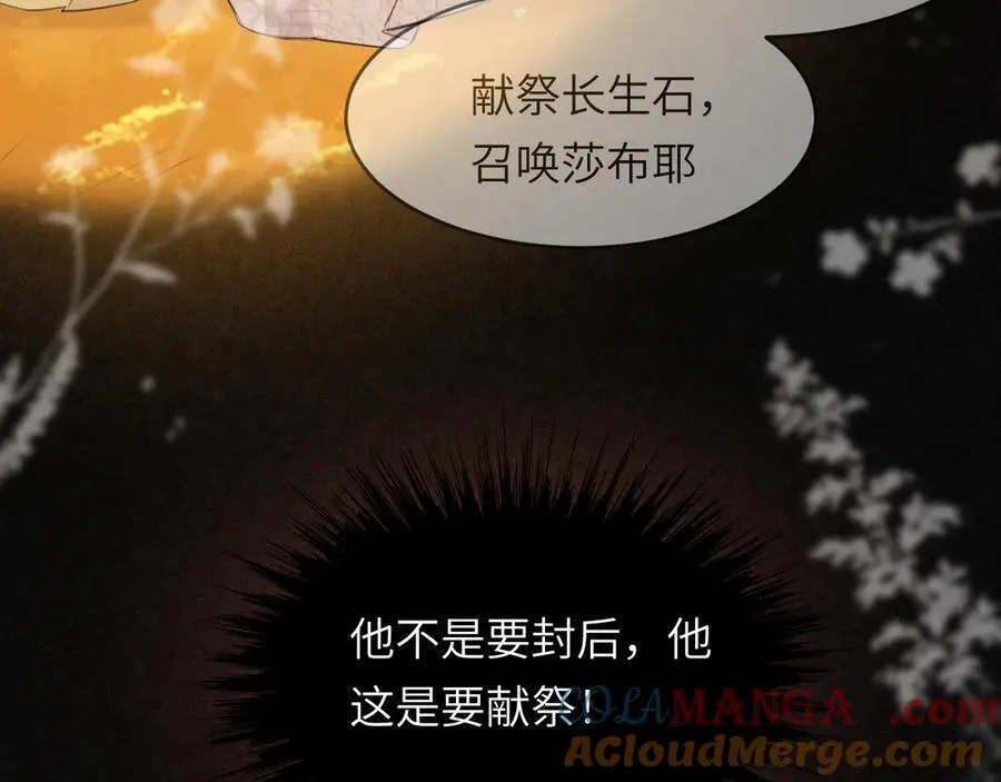 117 是封后还是献祭？36