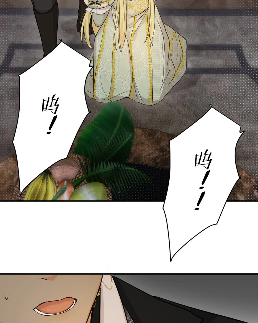 62 软肋70
