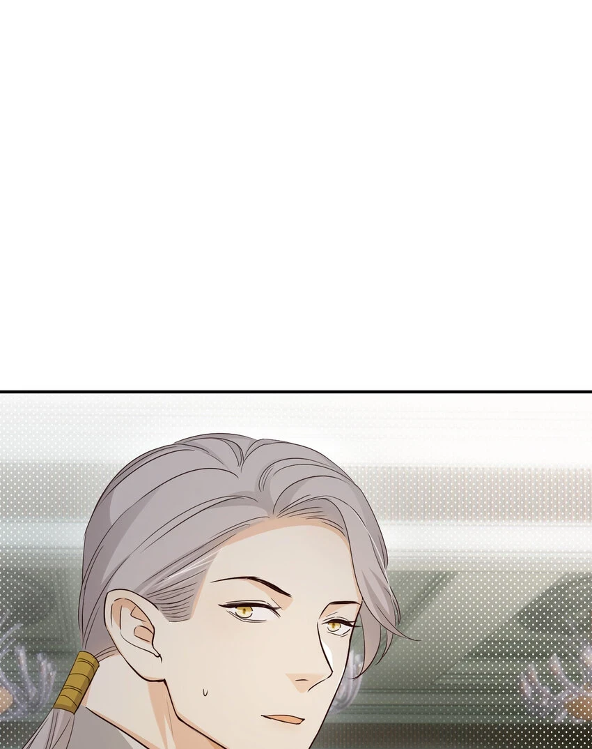 62 软肋41