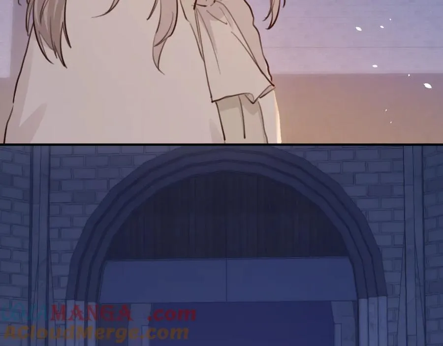 117 是封后还是献祭？8
