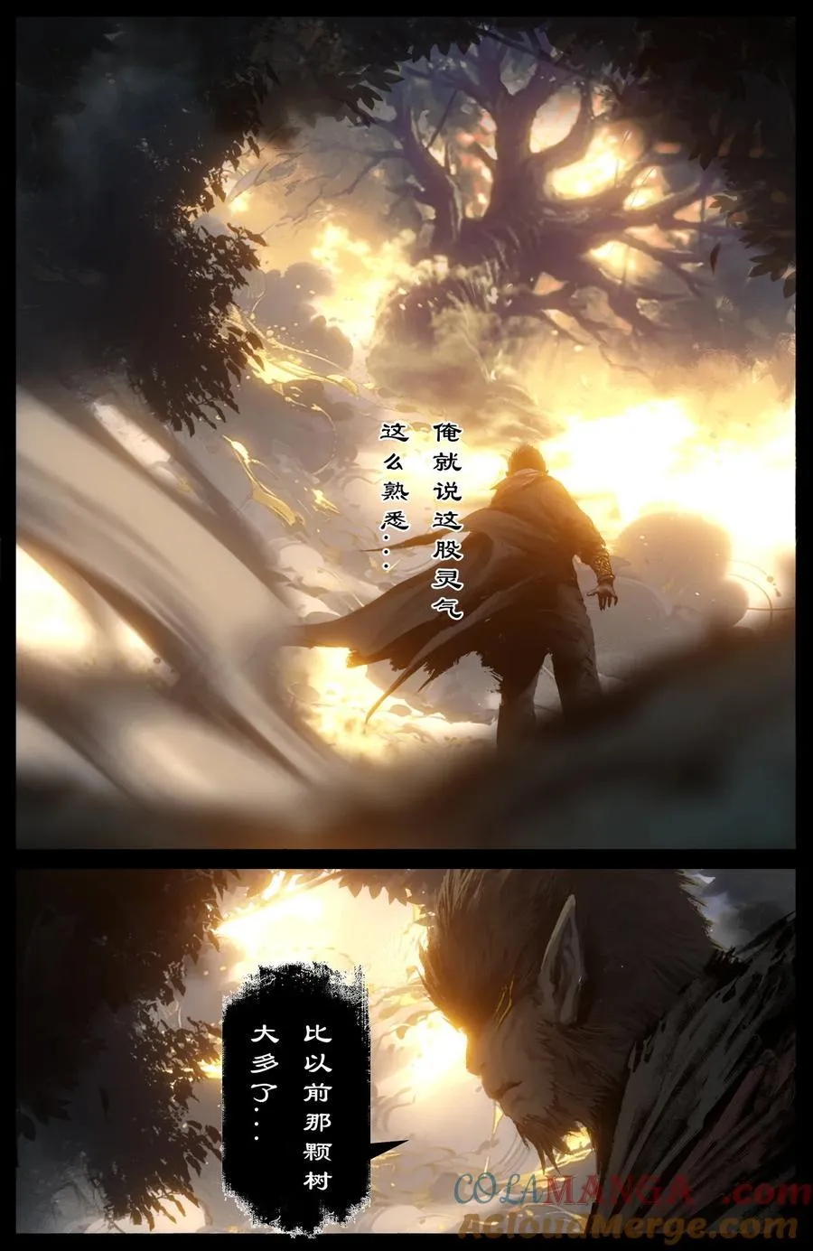 328 神仙树（上）16
