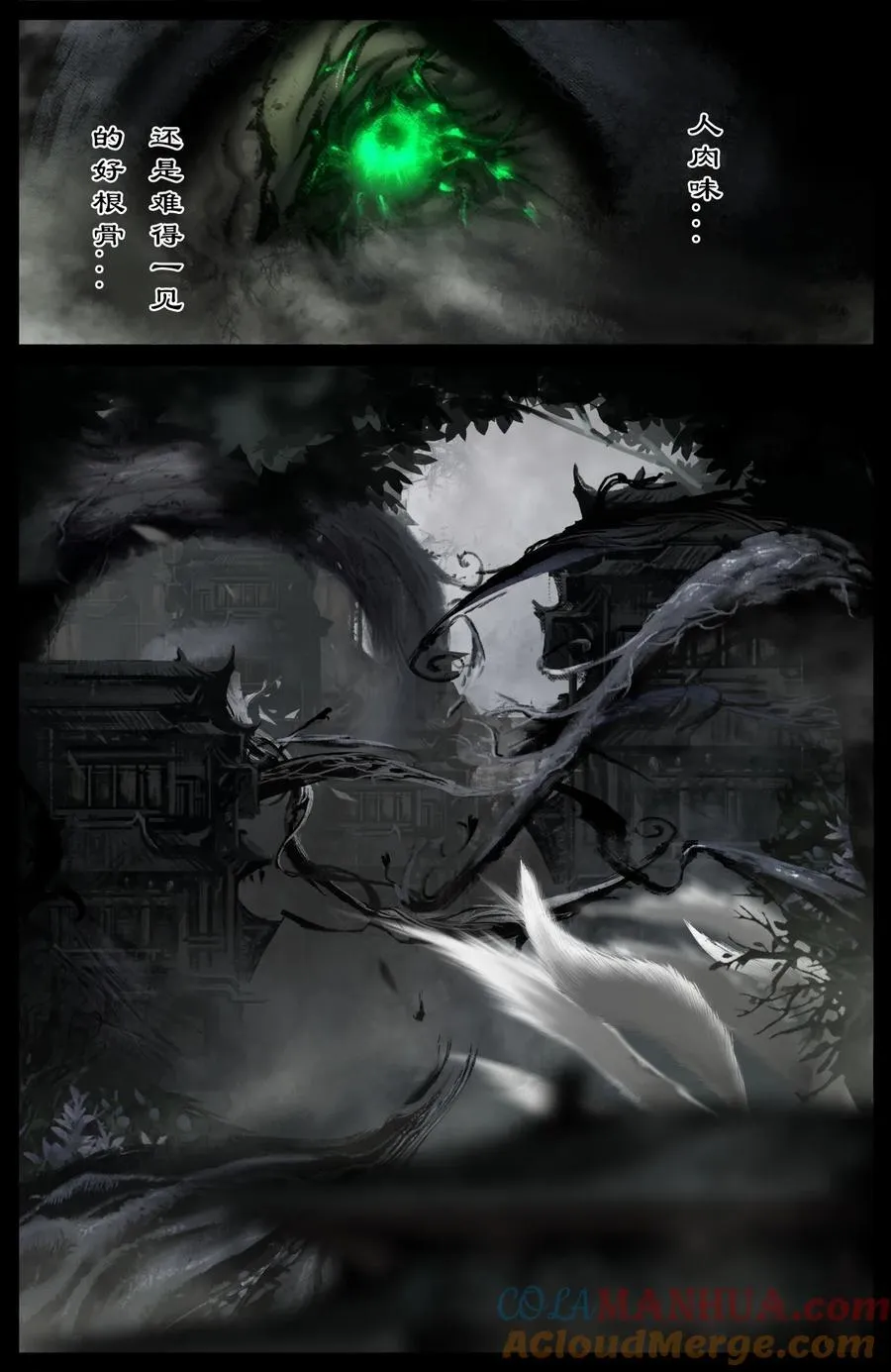 321 又是一个好根骨14