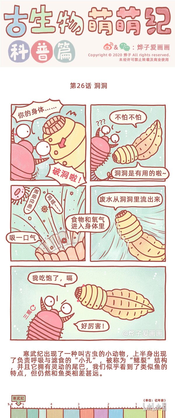 第26话 洞洞0