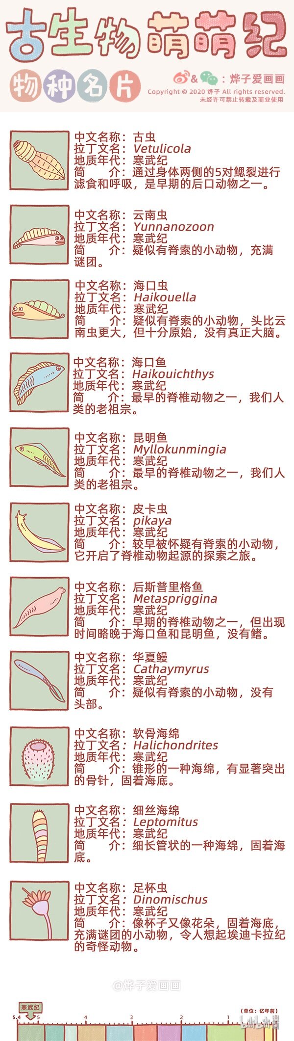物种名片 寒武纪30