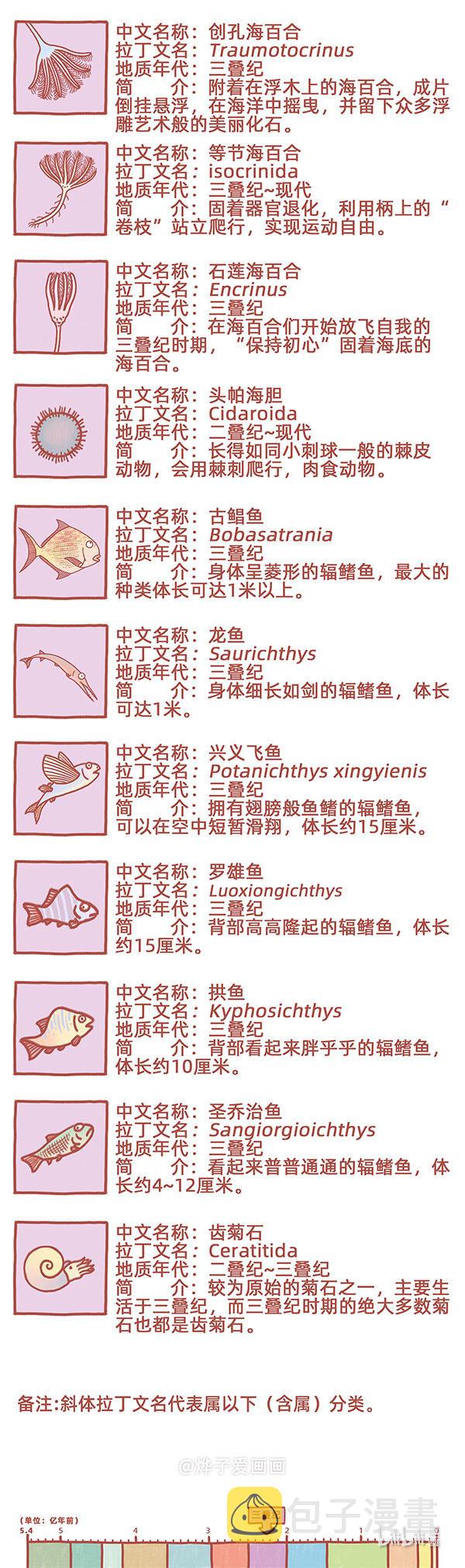 物种名片 三叠纪21