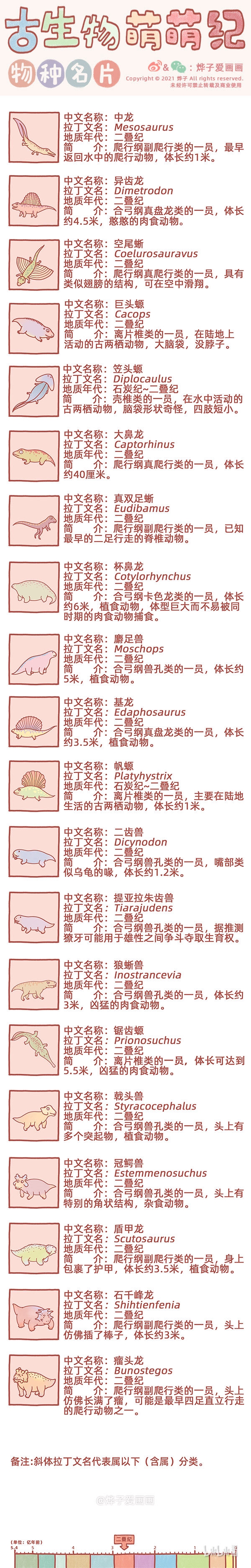 物种名片 二叠纪10