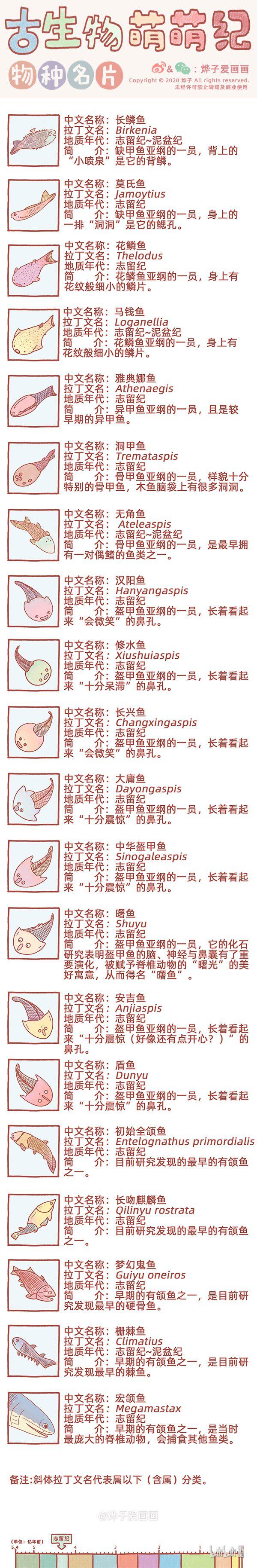 物种名片 志留纪10