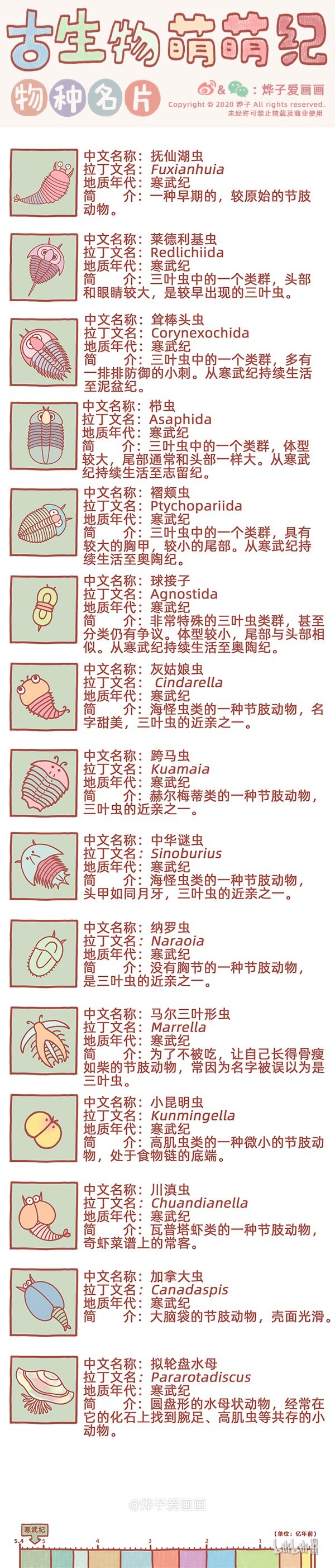 物种名片 寒武纪20