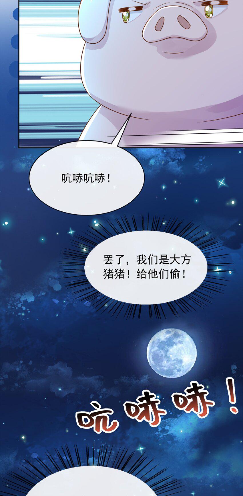 49猪圈一日游34