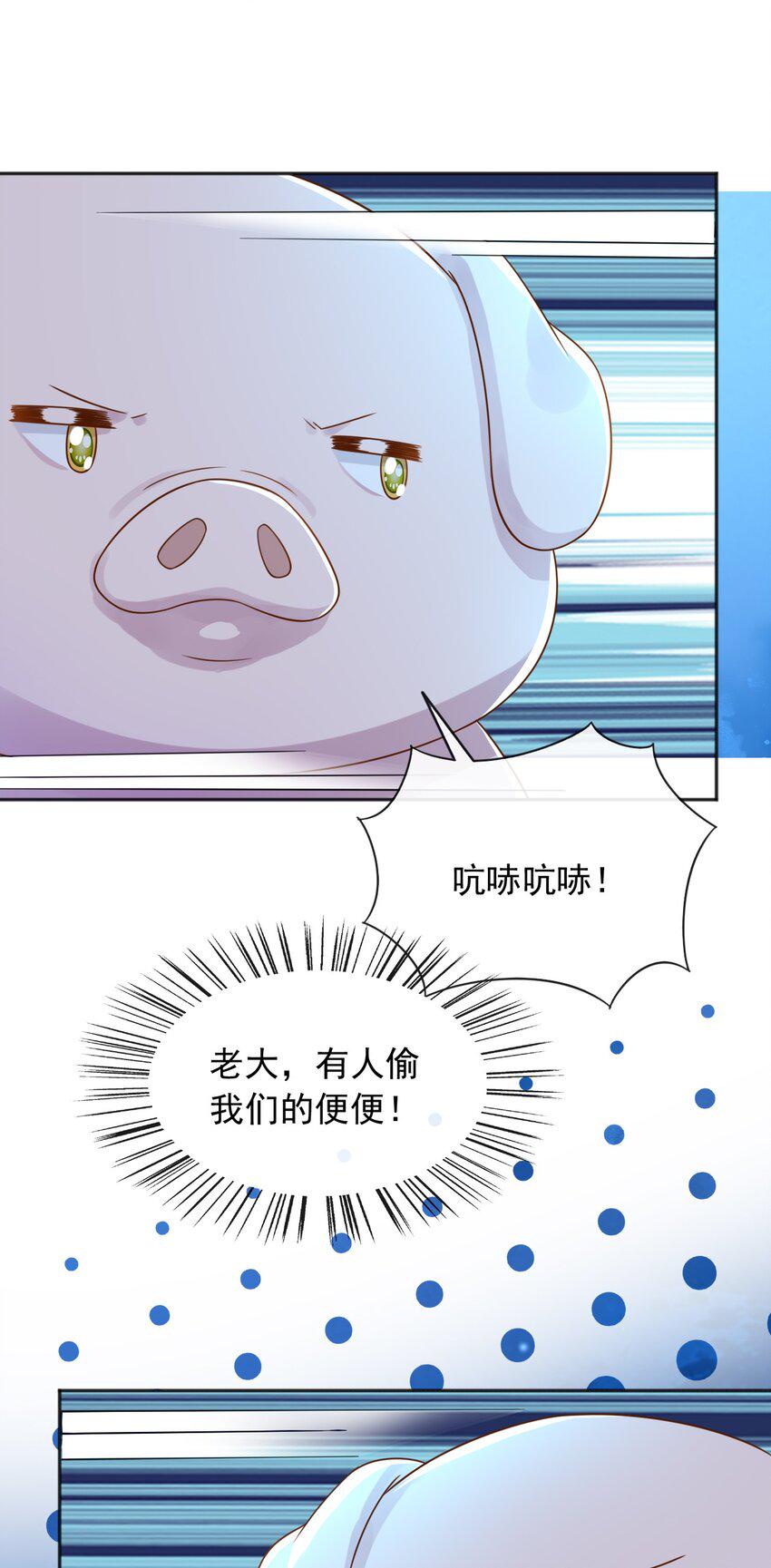 49猪圈一日游33