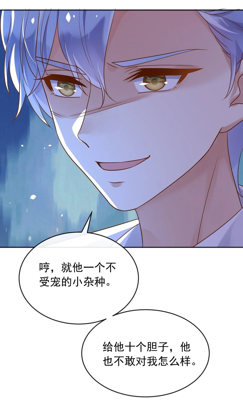 31维恩殿下的女装要求21