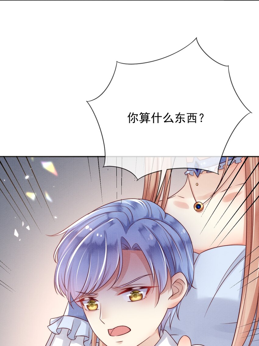 33雪绒花6