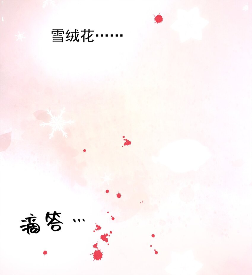 33雪绒花14