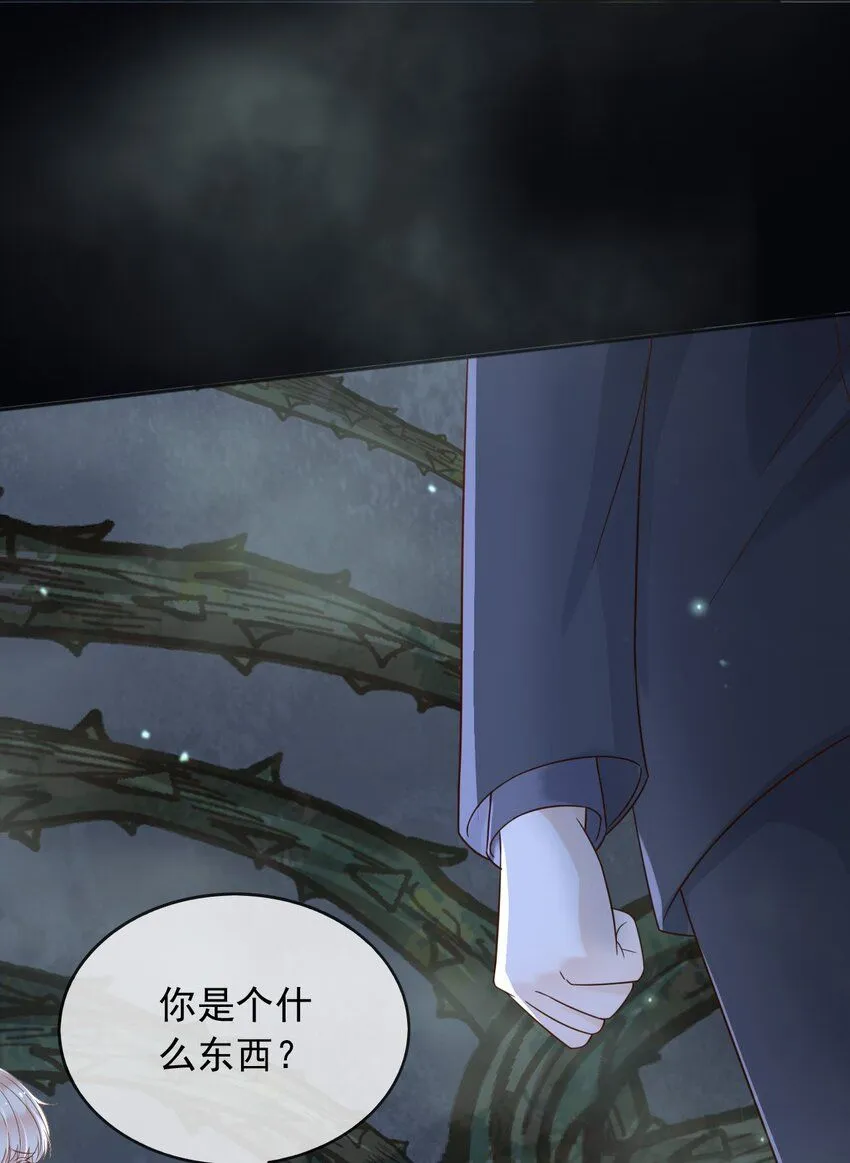 70迷雾之地31