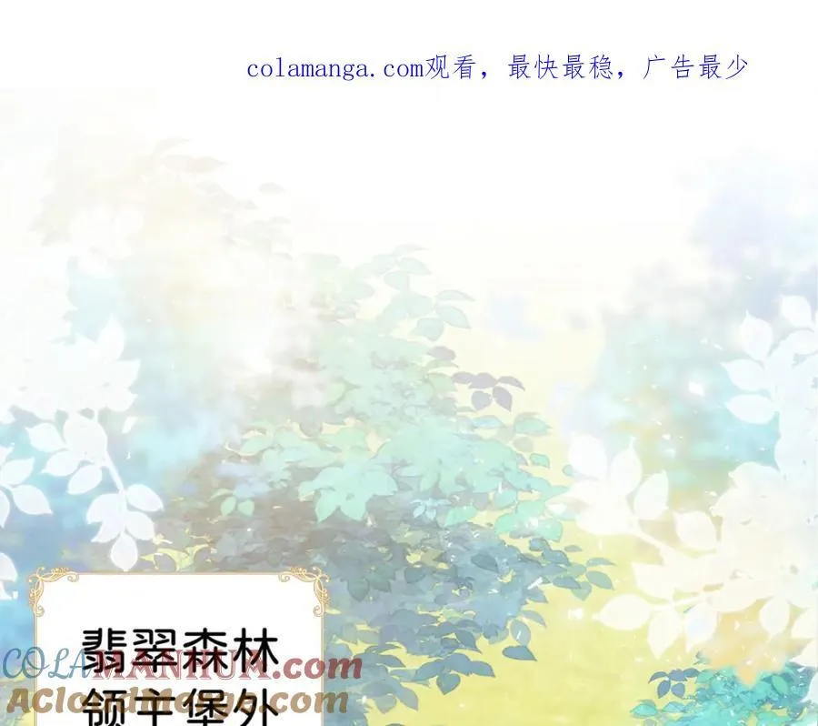 第81话 海蒂魔法晋阶0