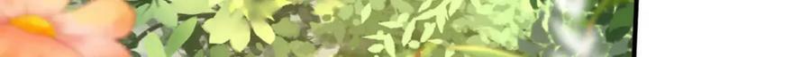 第67话 贝儿我娶定了127