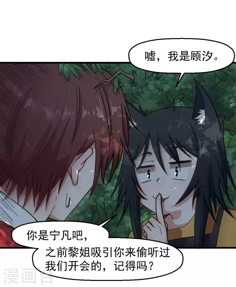 第219话 猫头鹰不是猫系？14