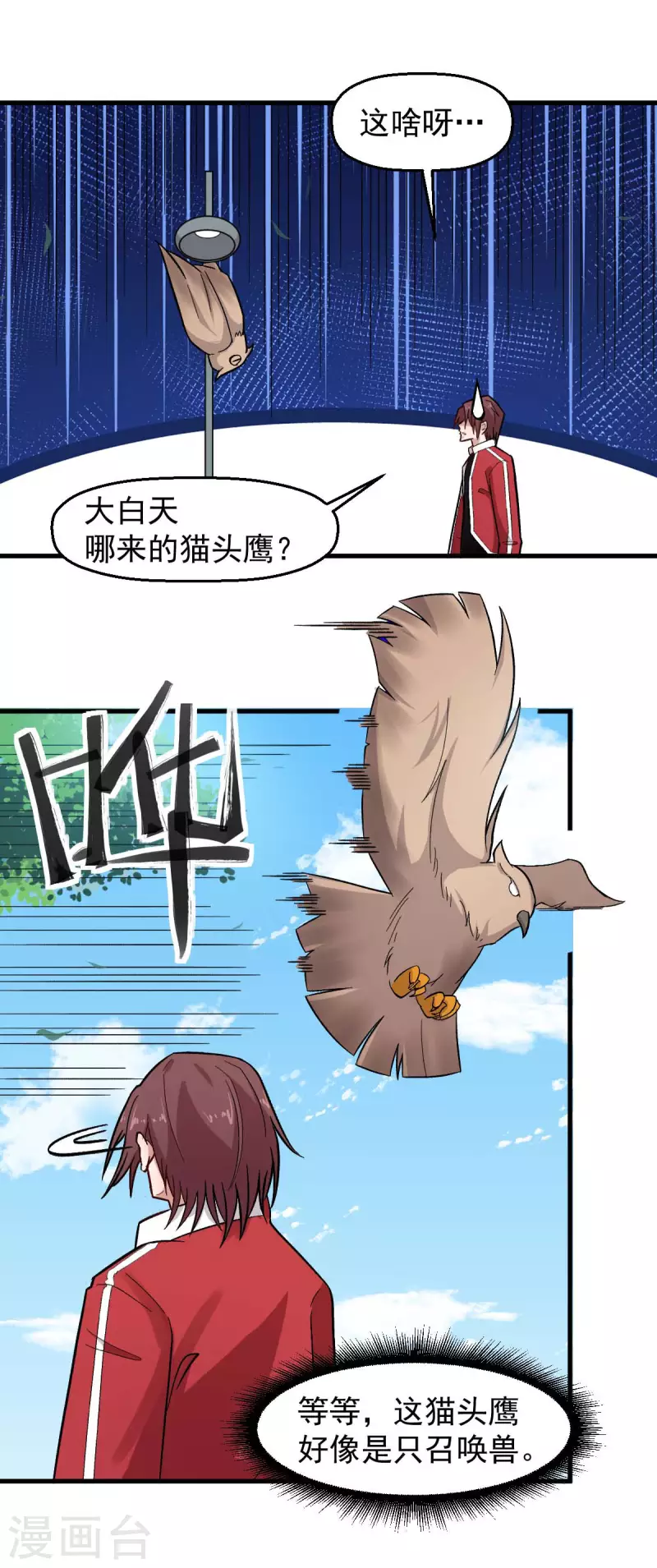 第219话 猫头鹰不是猫系？10
