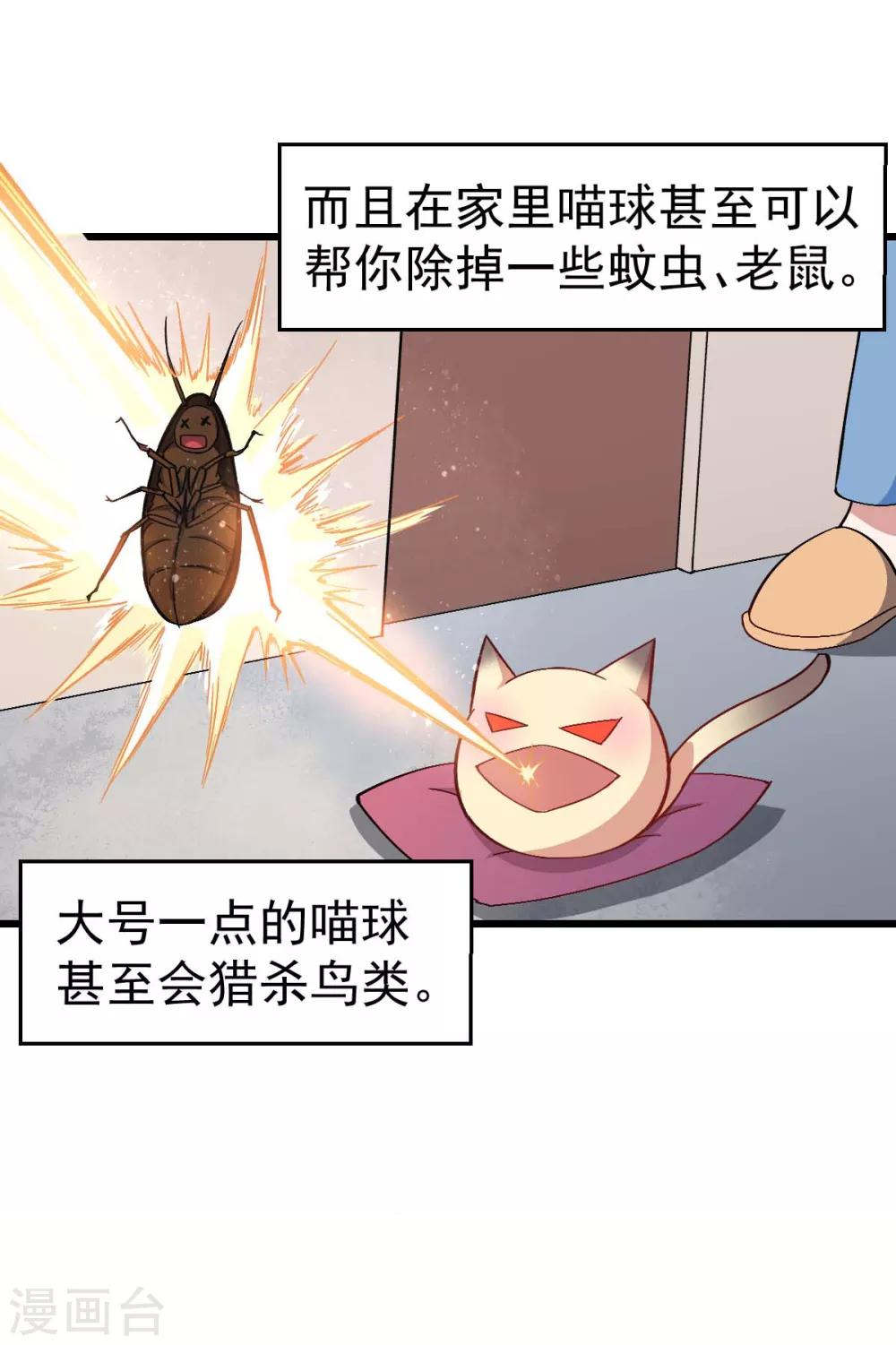 第137话 喵球2