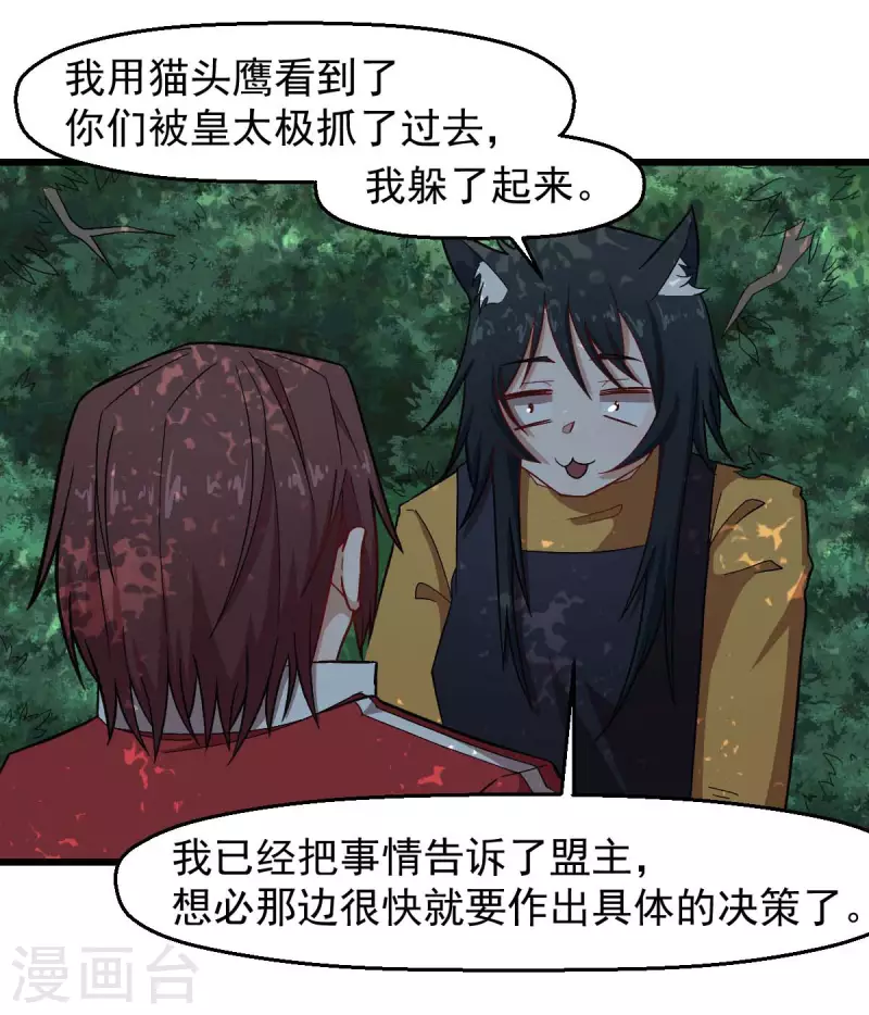 第219话 猫头鹰不是猫系？19