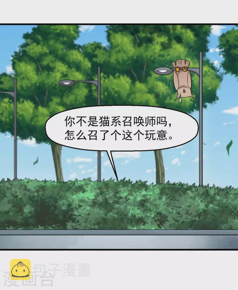 第219话 猫头鹰不是猫系？16