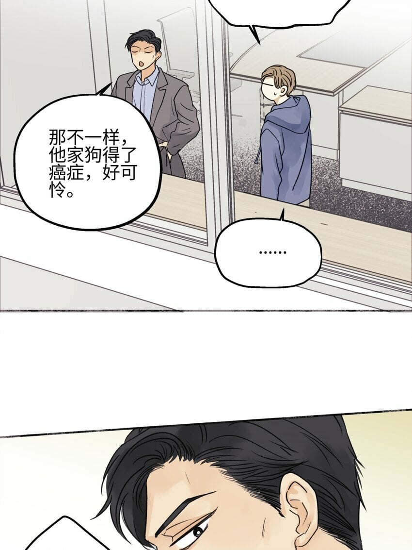 53 偏离20