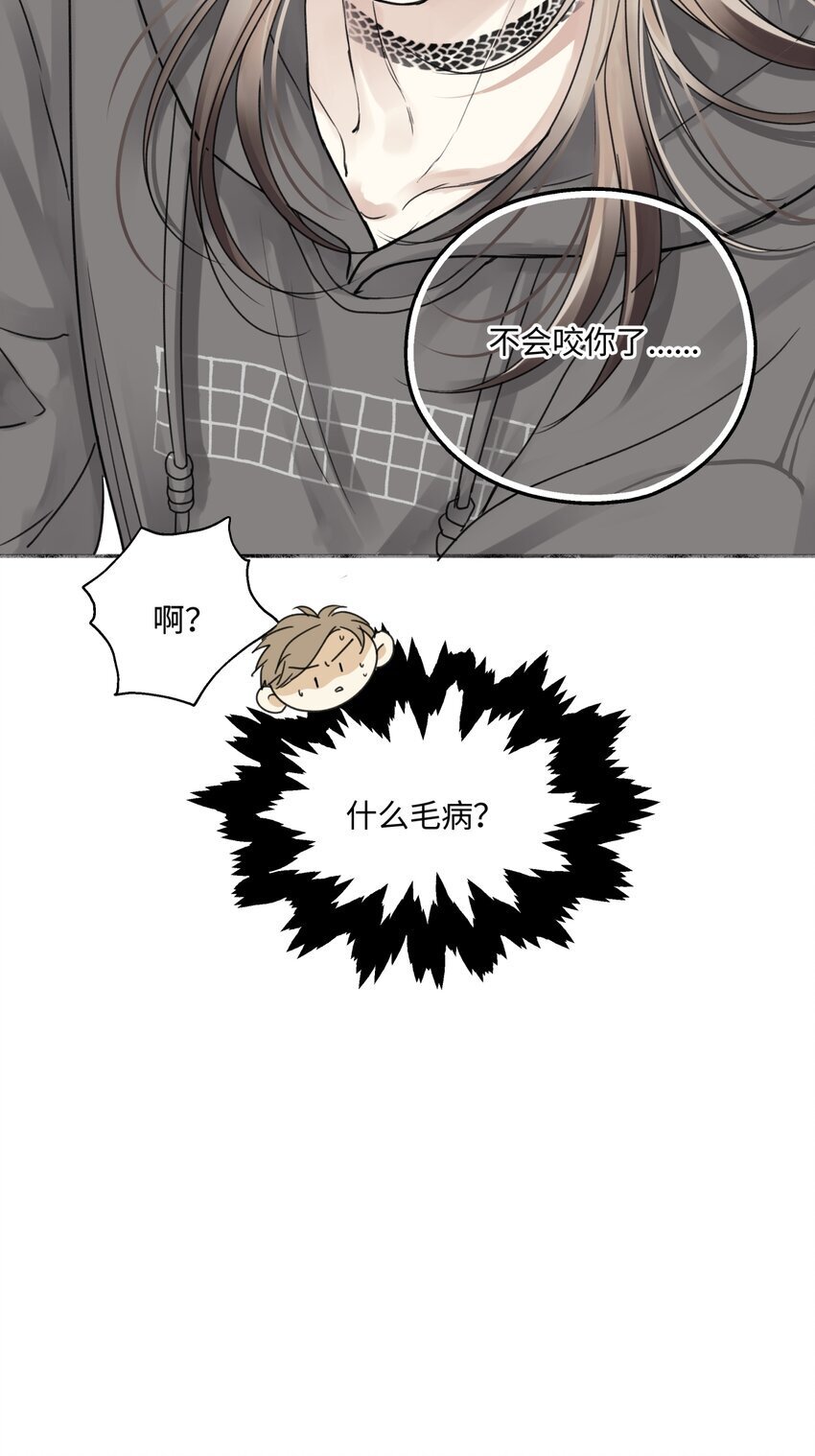 55 皮肤35