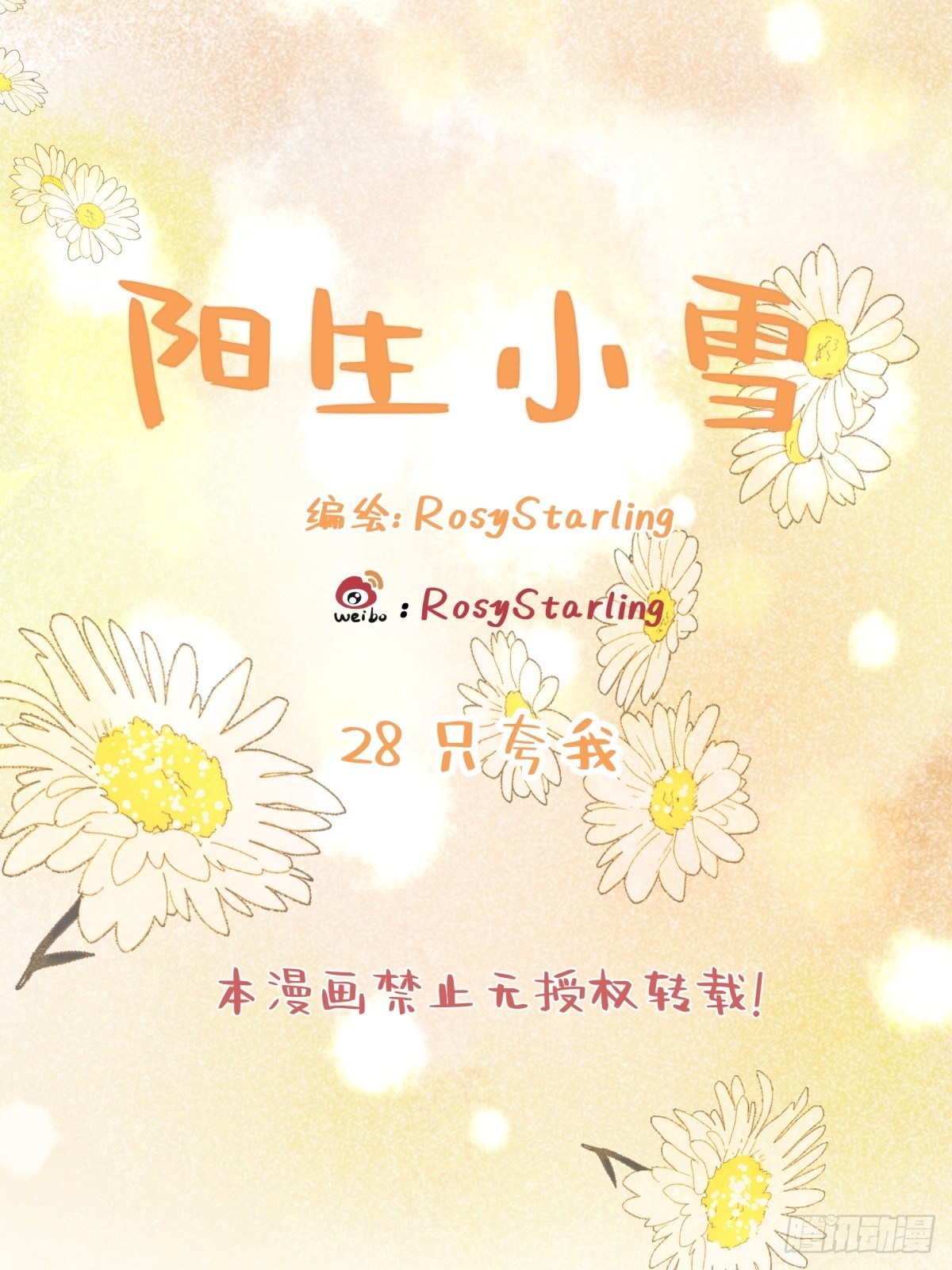 28 只夸我0