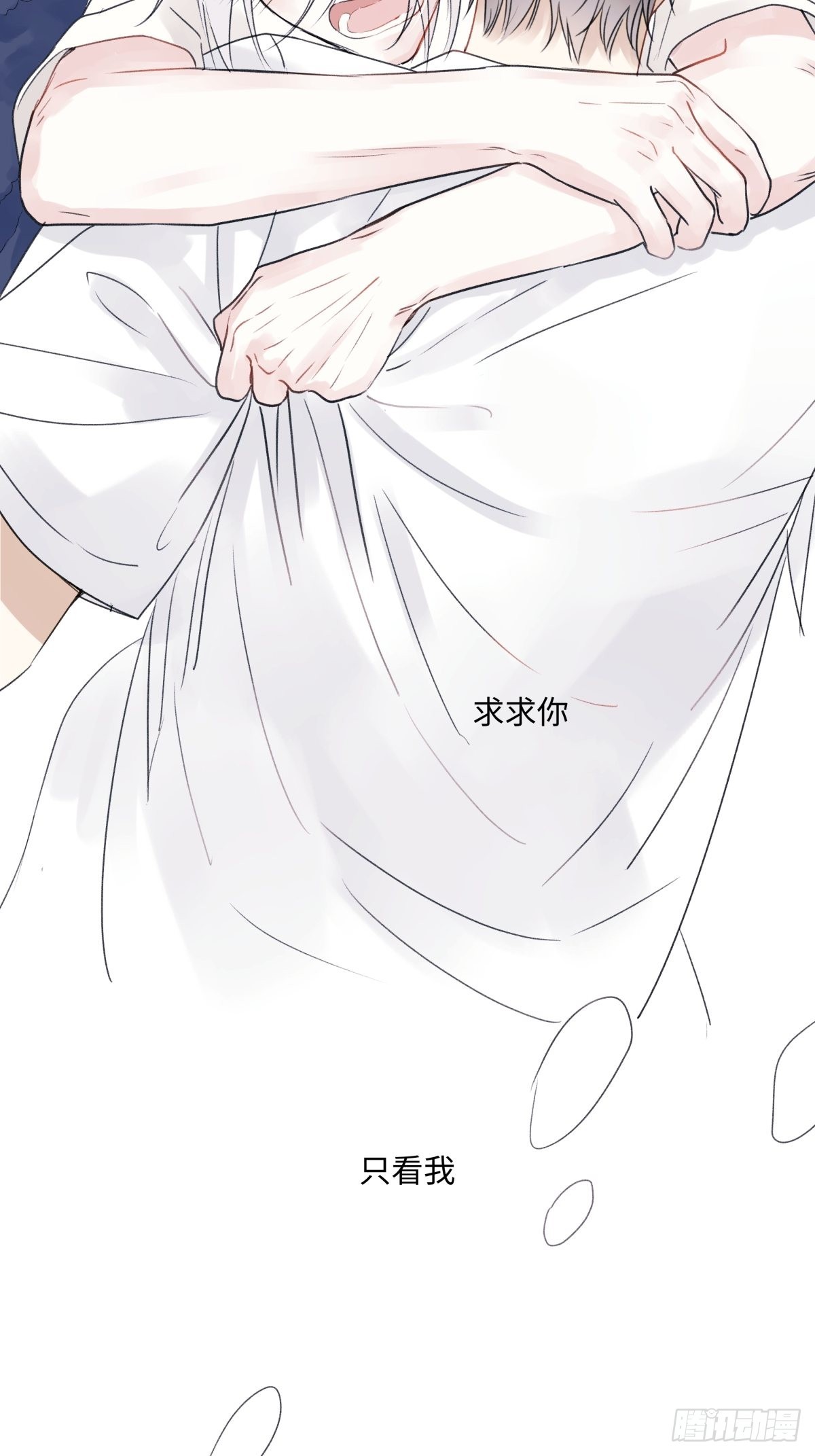 28 只夸我37