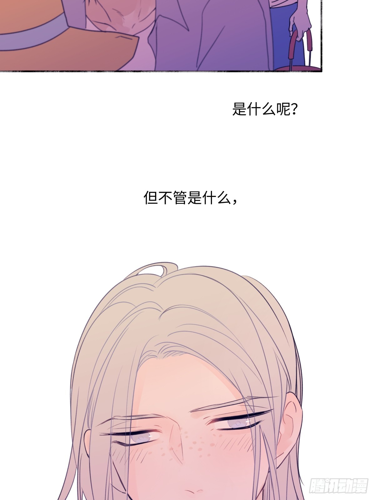 41 夏日倾情41