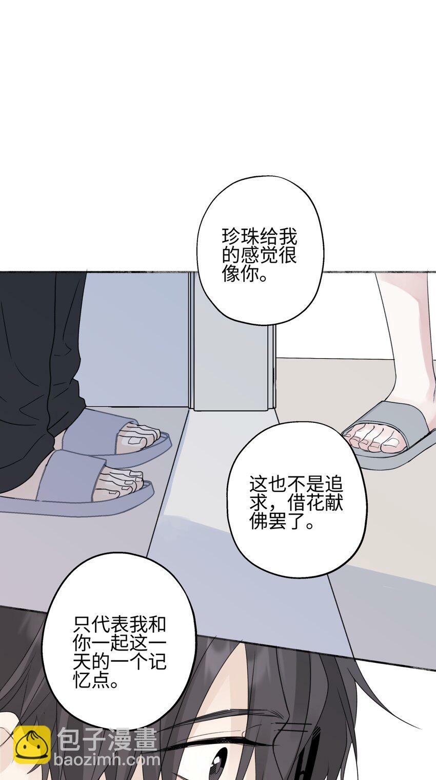 51 珍珠36