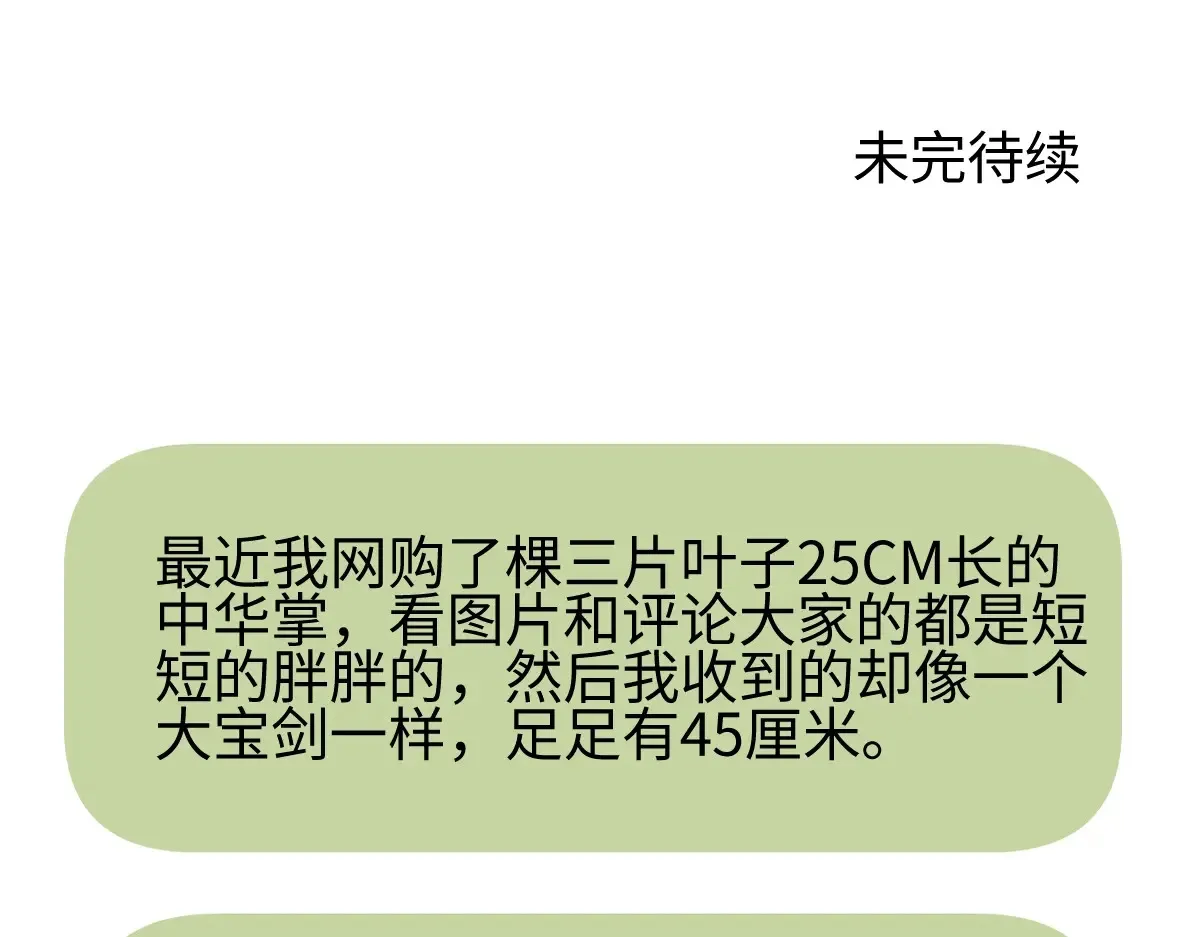 花能灼热寂寥的心103