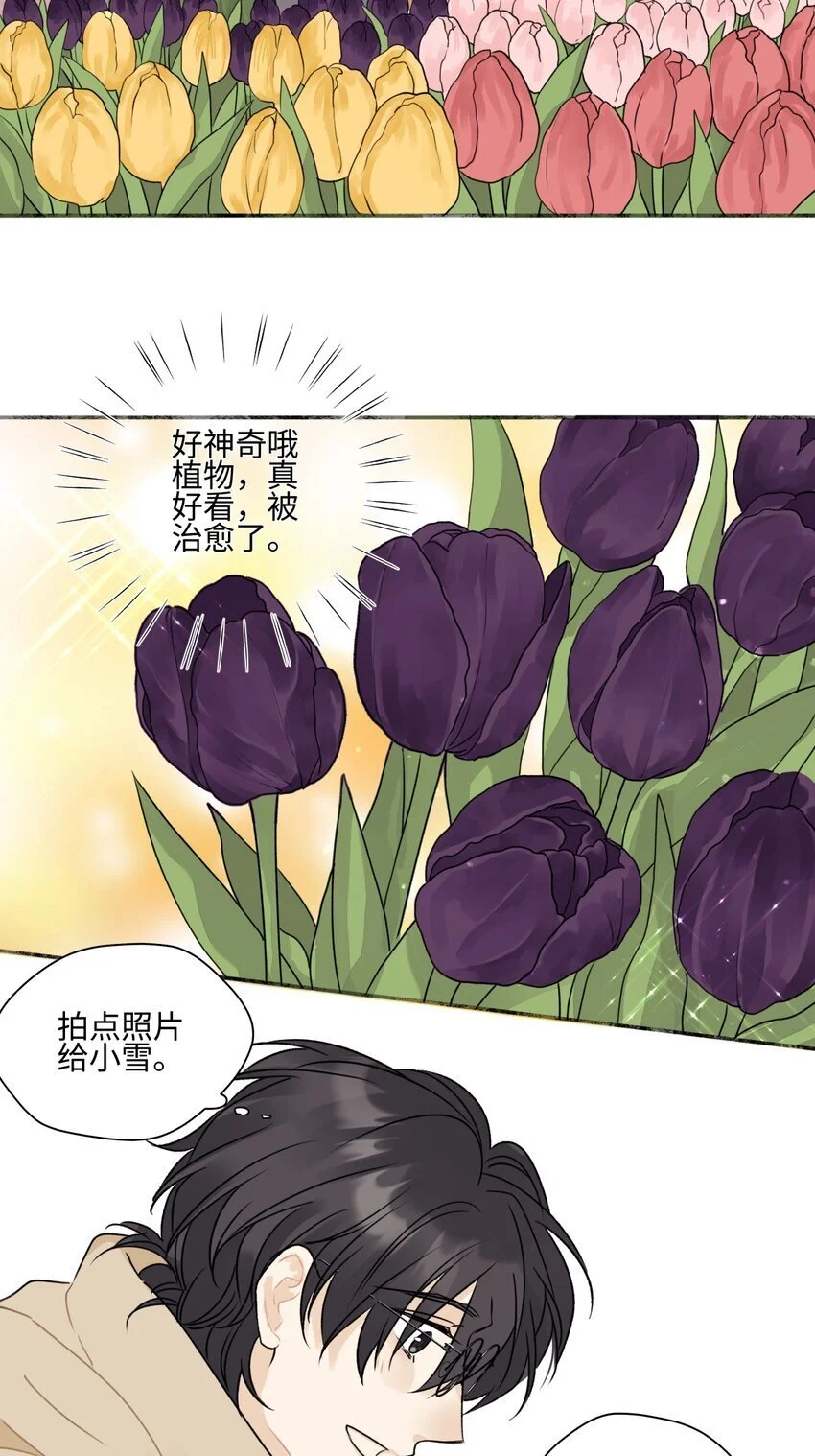 61 孤雏5