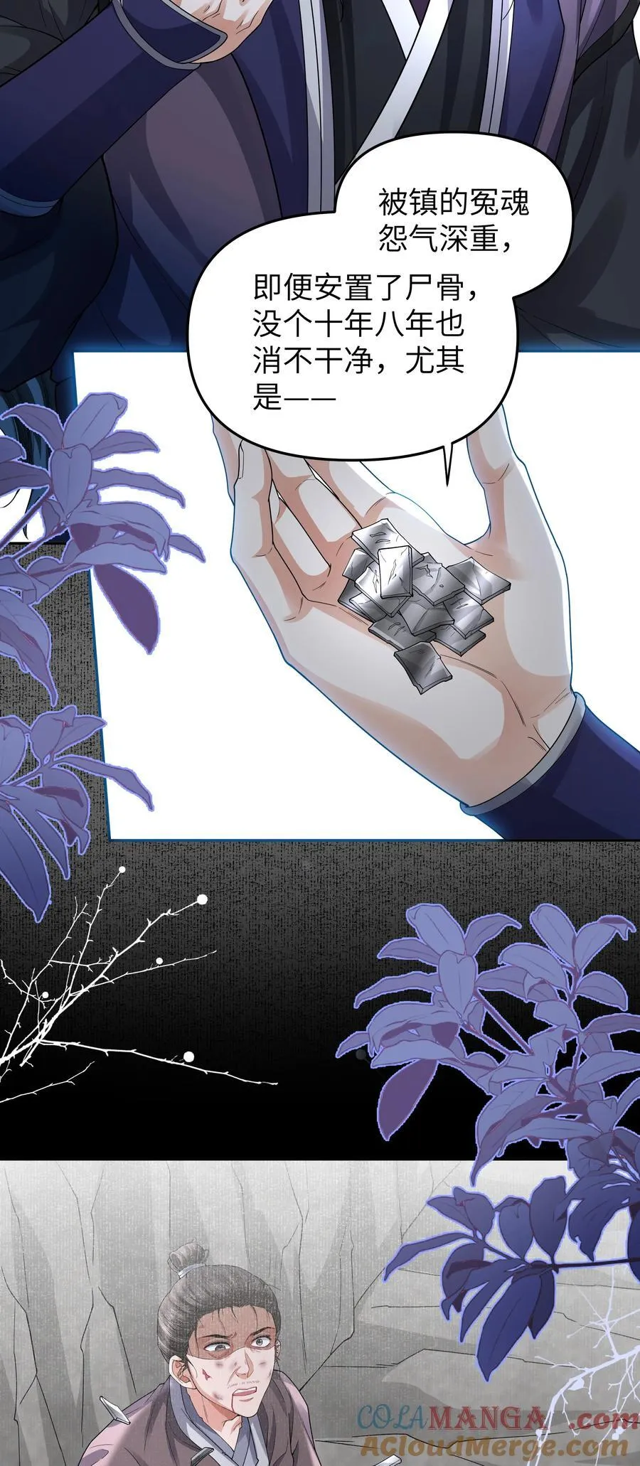 092 同寿蛛8
