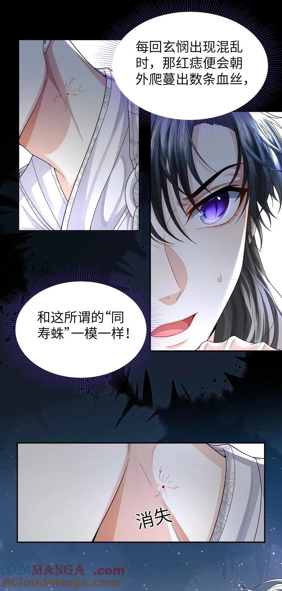 092 同寿蛛24