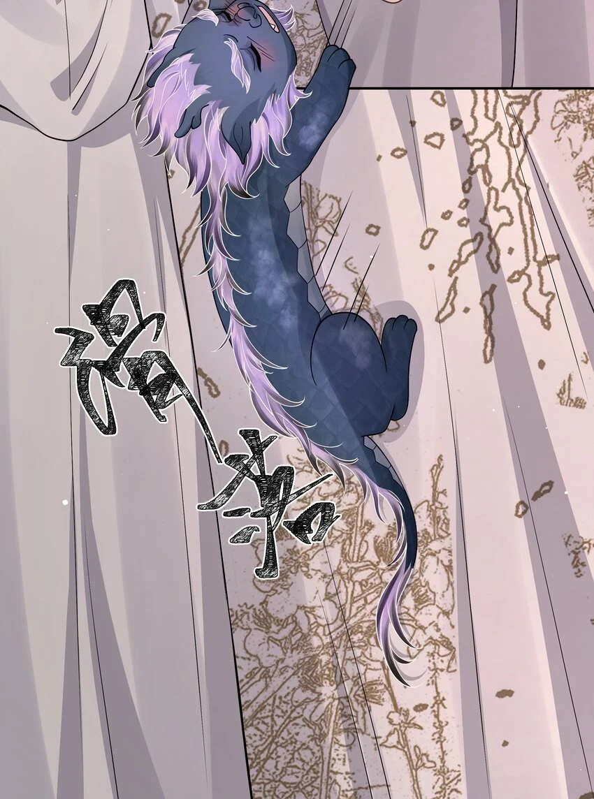 050 石头张11