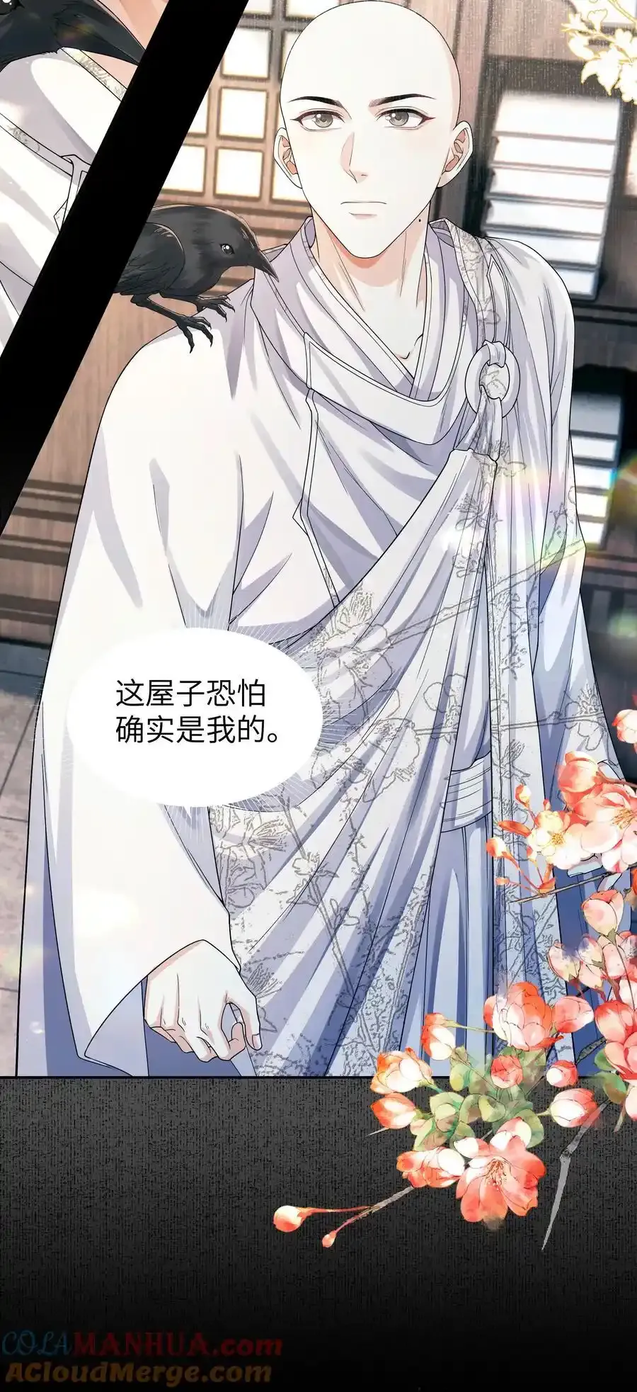 088 傻鸟26