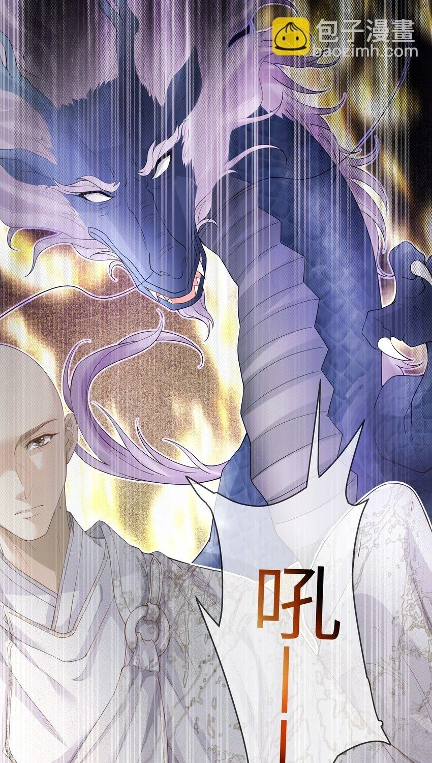 050 石头张12