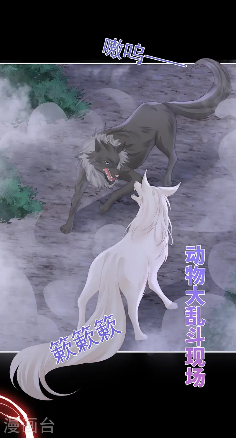 第111话 又来两只美狼！12