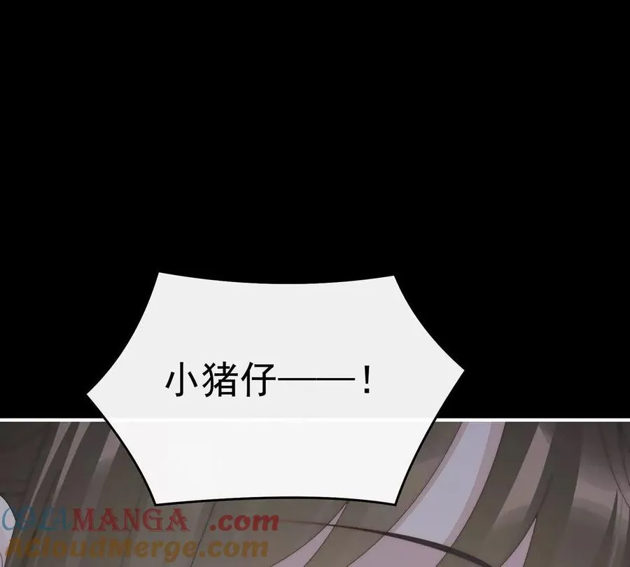 132 你究竟有几只猪？24