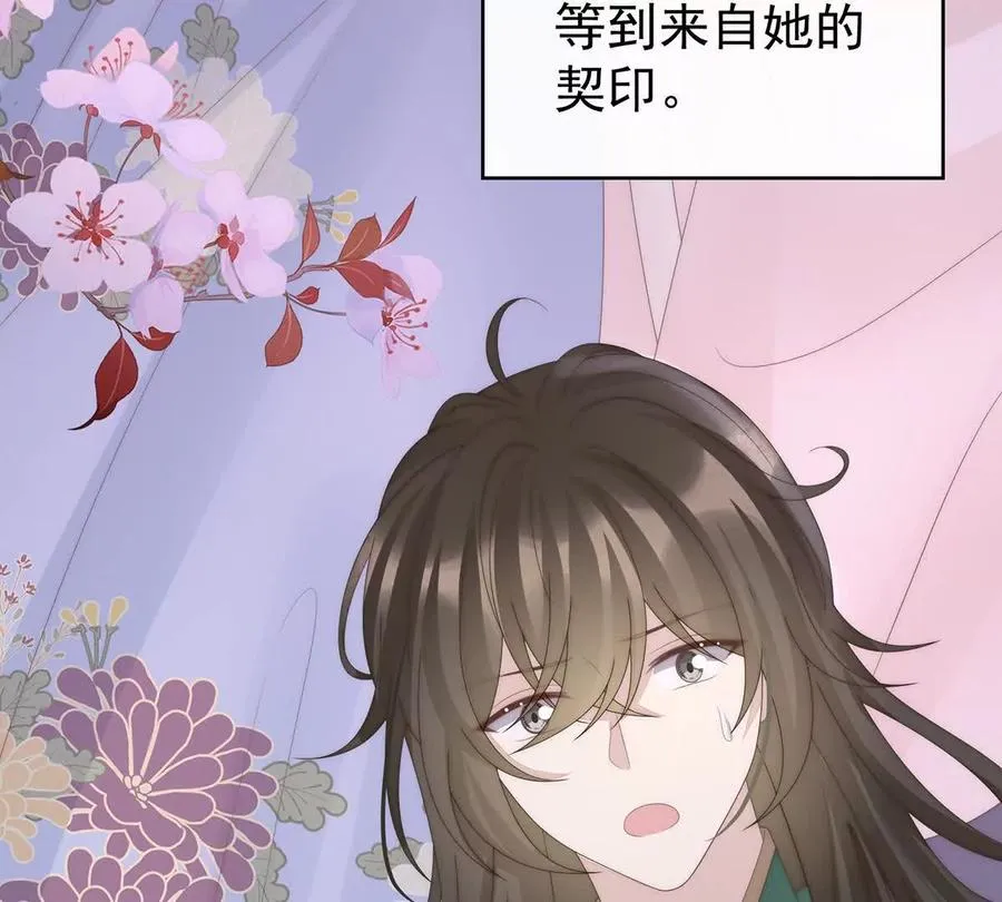 133 小猪娃71