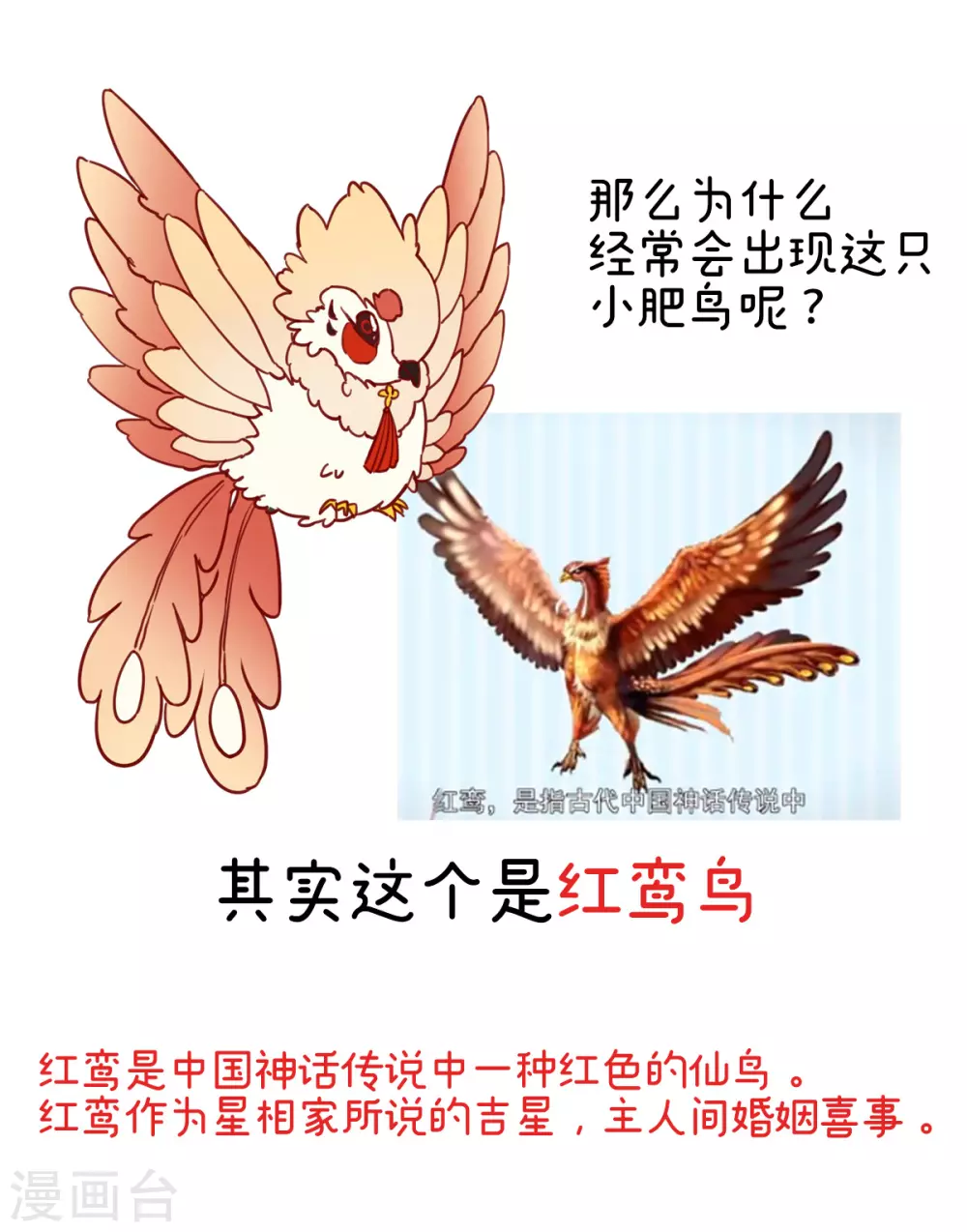 特别篇 主角团的诞生8